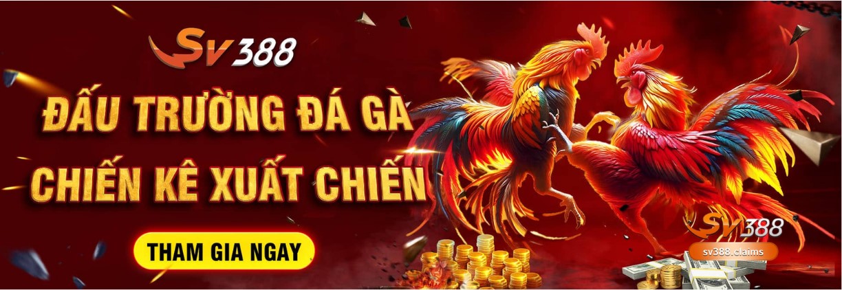 SV388 - Trang chủ chính thức nhà cái đá gà Thomo SV388